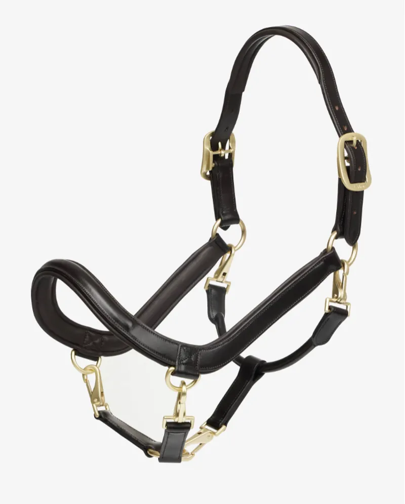 LeMieux Leather Grooming Headcollar Brown